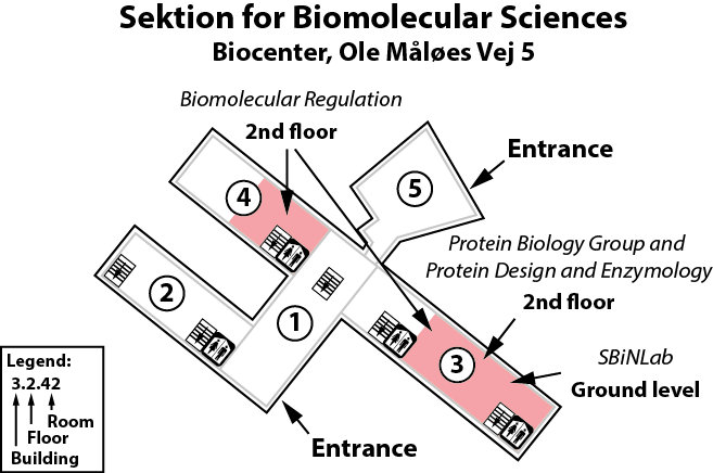 Location of BMS groups at the Biocenter