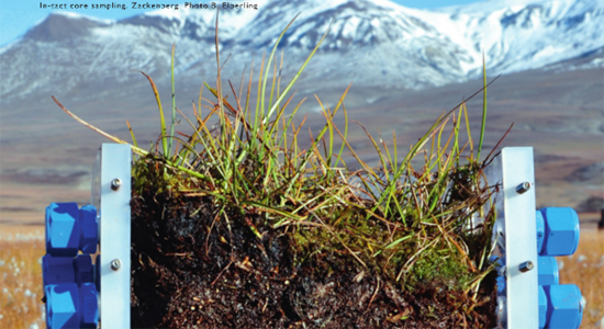 Soil sampling in the Arctic